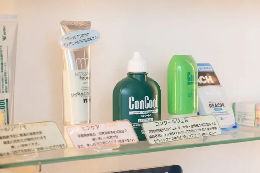 補助的清掃用具